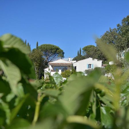 Mas Du Perthus Bed & Breakfast Cassis Exterior photo