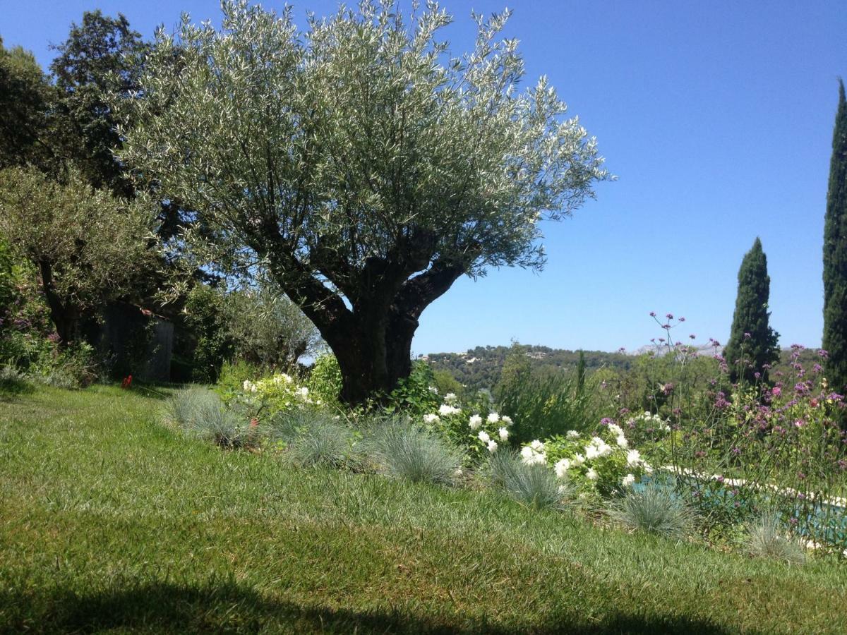Mas Du Perthus Bed & Breakfast Cassis Exterior photo
