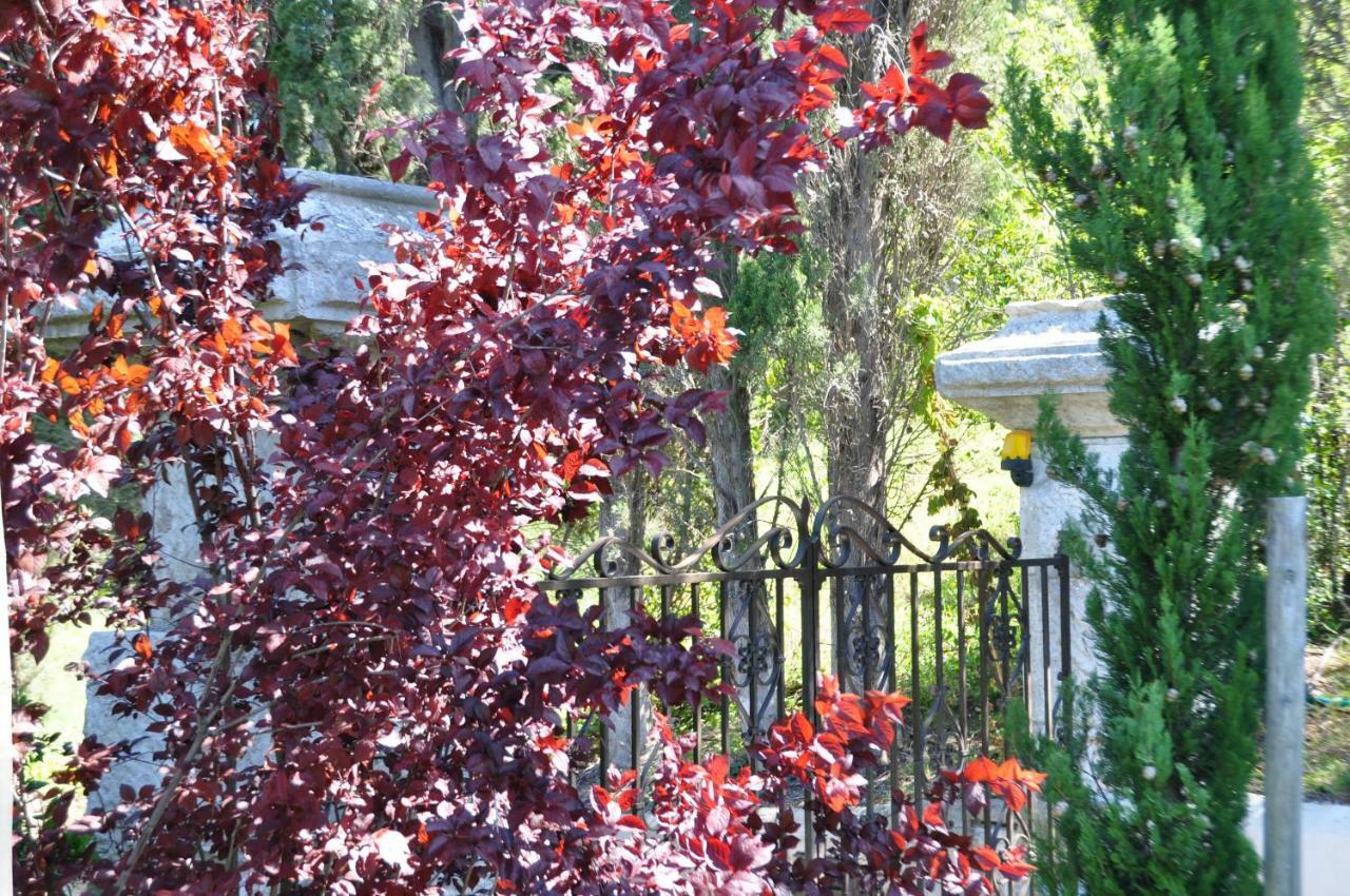 Mas Du Perthus Bed & Breakfast Cassis Exterior photo