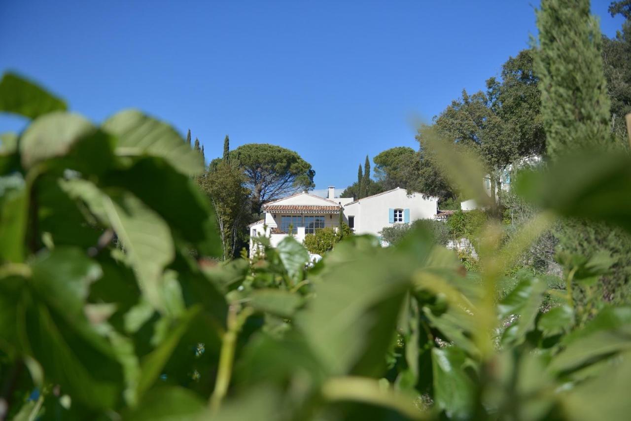 Mas Du Perthus Bed & Breakfast Cassis Exterior photo